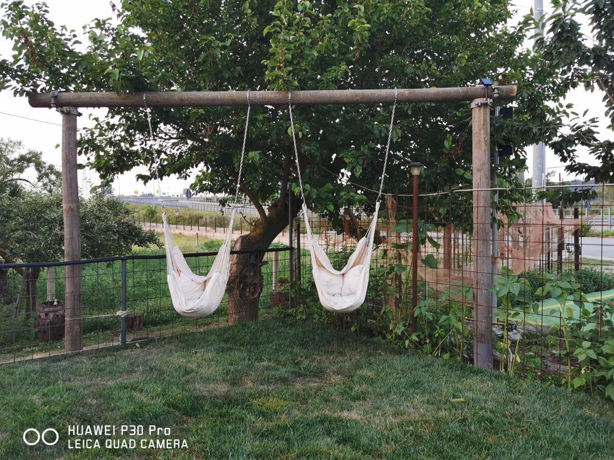 Bed And Breakfast "Anna" Bagnara Calabra Luaran gambar